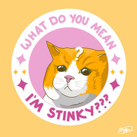 What do you mean in stinky? Sticker